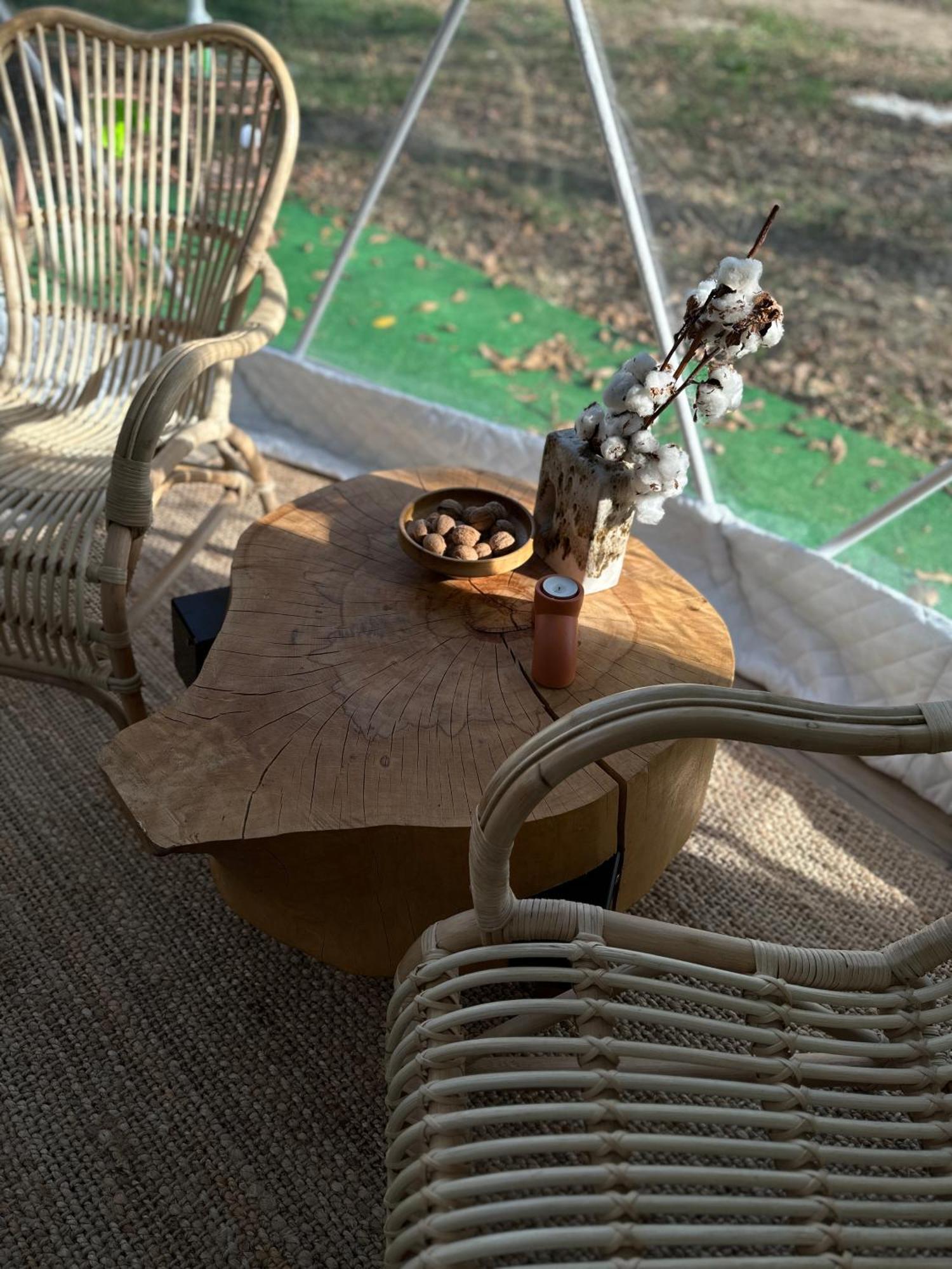 The Frog Glamping Ξενοδοχείο Horezu Εξωτερικό φωτογραφία
