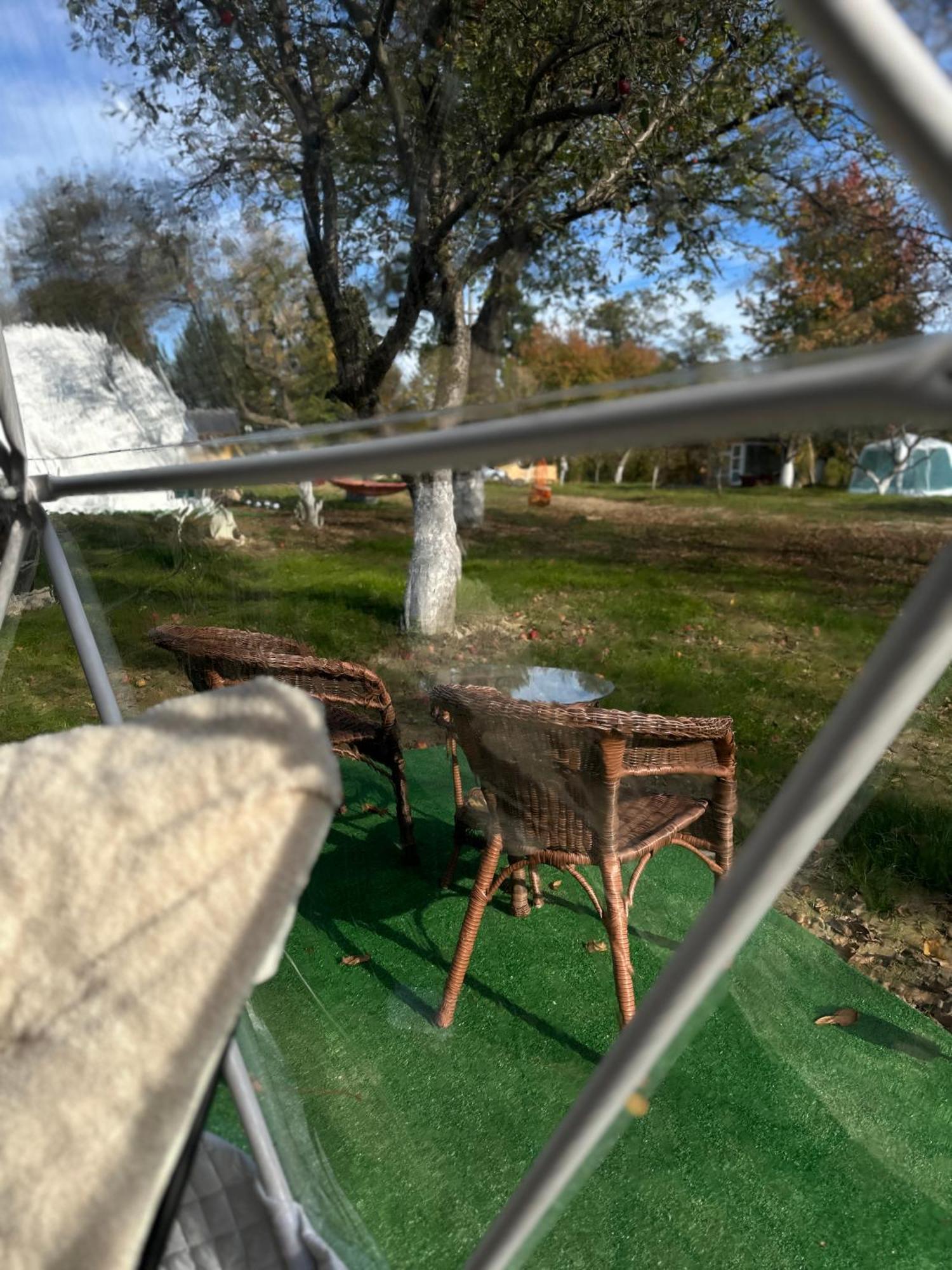 The Frog Glamping Ξενοδοχείο Horezu Εξωτερικό φωτογραφία