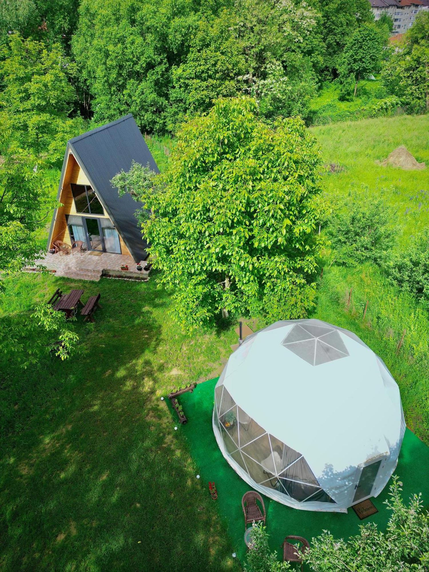 The Frog Glamping Ξενοδοχείο Horezu Εξωτερικό φωτογραφία