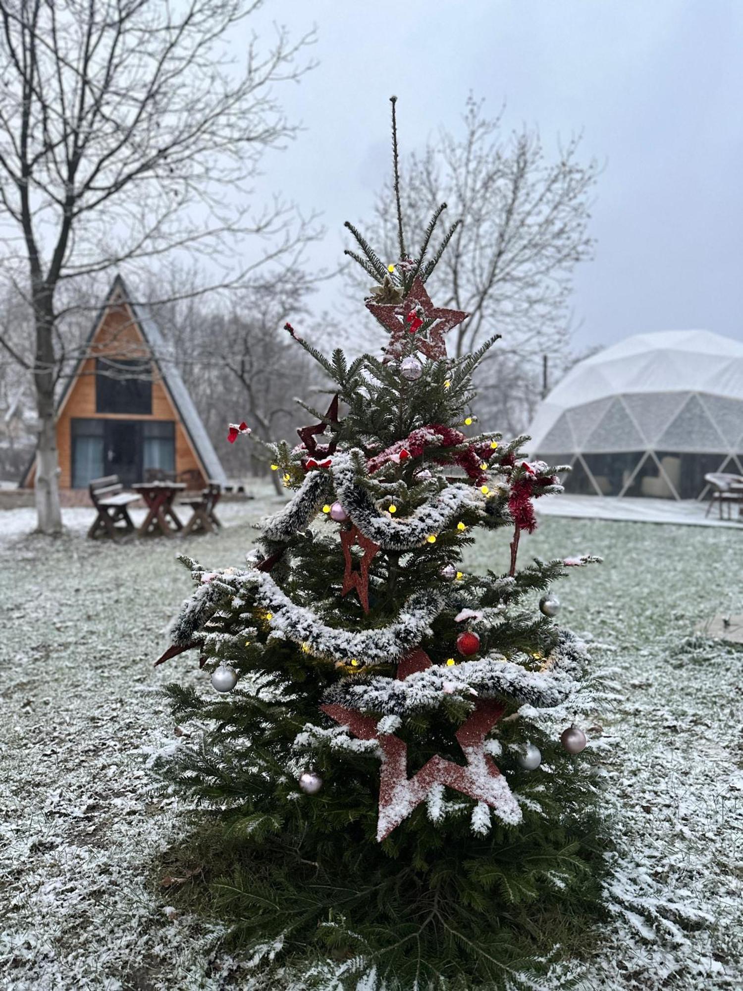 The Frog Glamping Ξενοδοχείο Horezu Εξωτερικό φωτογραφία